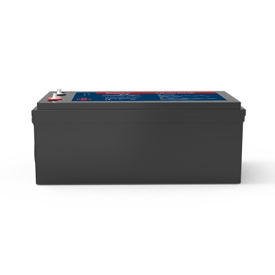 lithium ion car battery