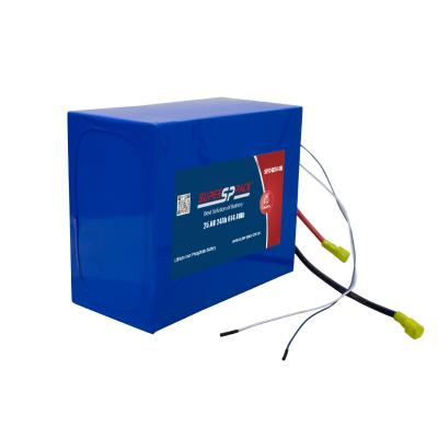 Blocs de batteries LiFePO4 24V 20Ah