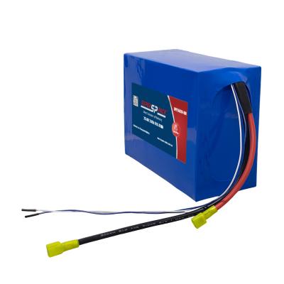 Blocs de batteries LiFePO4 24V 20Ah