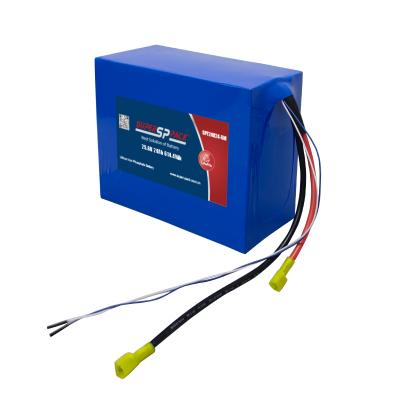 Blocs de batteries LiFePO4 24V 20Ah