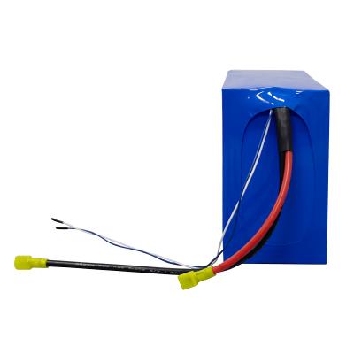 Blocs de batteries LiFePO4 24V 20Ah