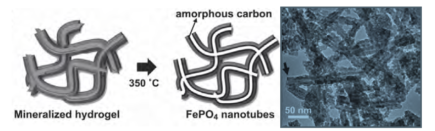 synthèse de matériaux nanostructurés avec des agents biologiques